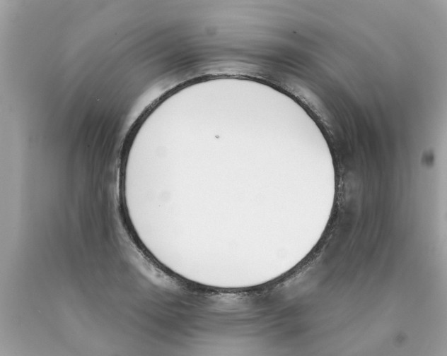 X0000089891130200707262224