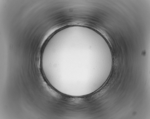 X0000089891131200707262224