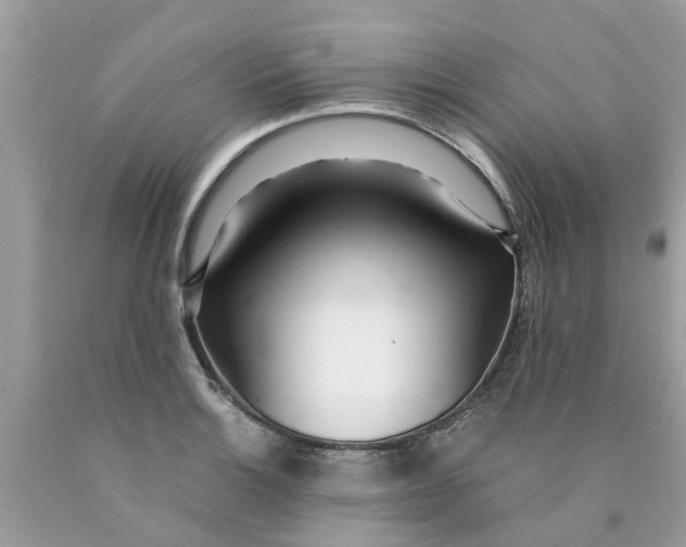 X0000089891132200707262224