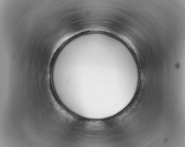 X0000089891133200707262224