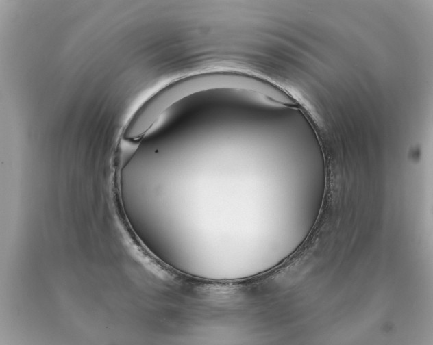 X0000089891134200707262224