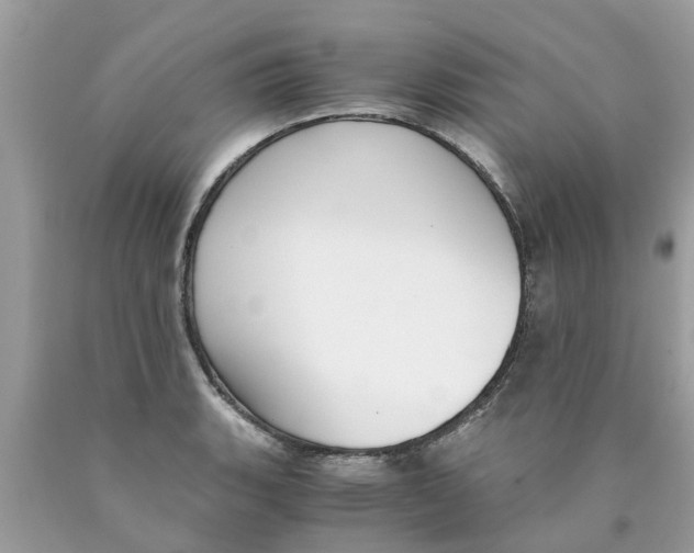 X0000089891135200707262224