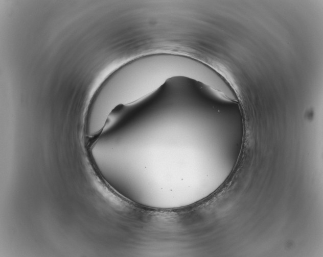 X0000089891136200707262224