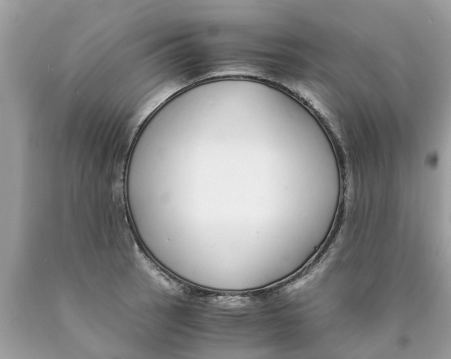 X0000089891137200707262224