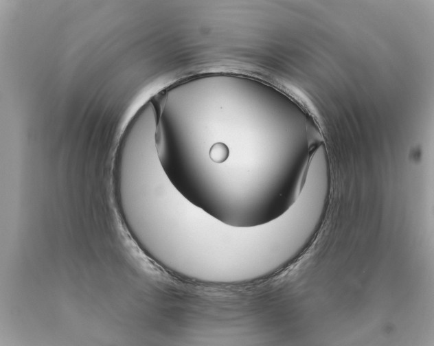 X0000089891138200707262224