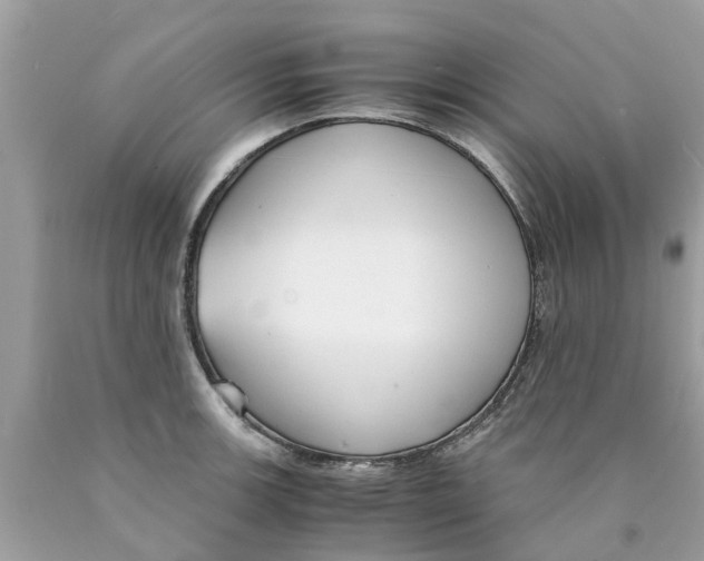 X0000089891139200707262224