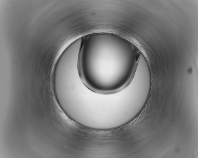 X0000089891140200707262224