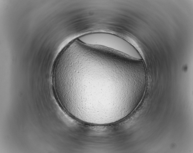 X0000089891141200707262224