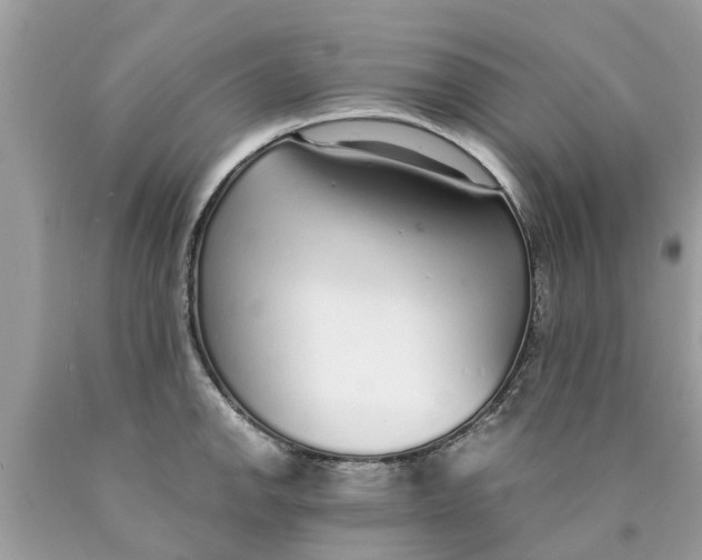 X0000089891142200707262224