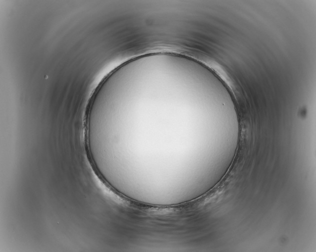 X0000089891143200707262224