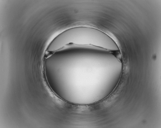 X0000089891144200707262224