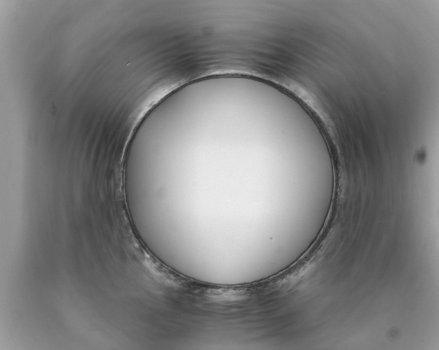 X0000089891145200707262224