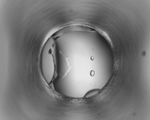 X0000089891146200707262224