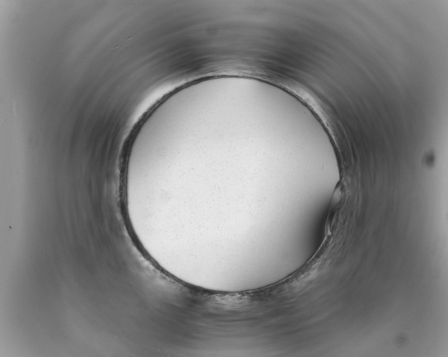 X0000089891147200707262224