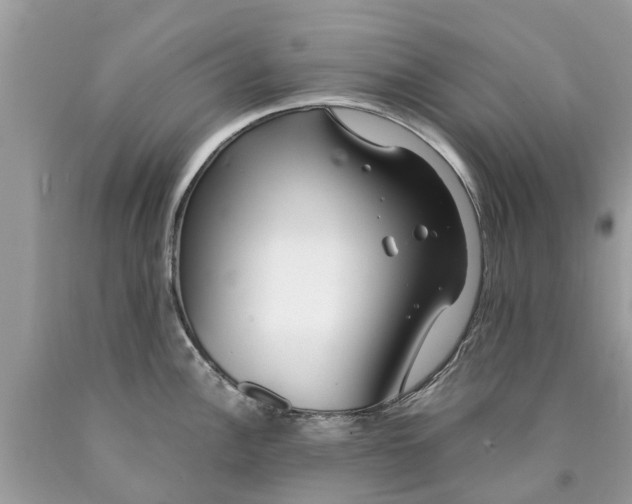 X0000089891148200707262224