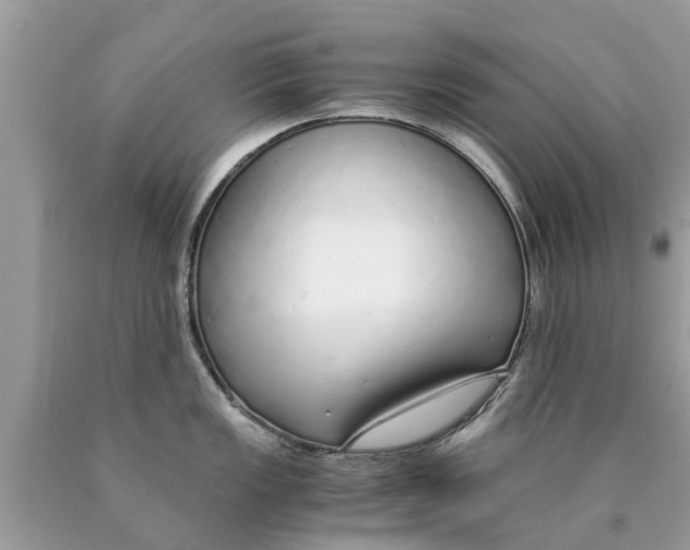 X0000089891149200707262224