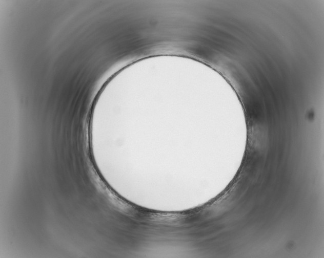 X0000089891150200707262224