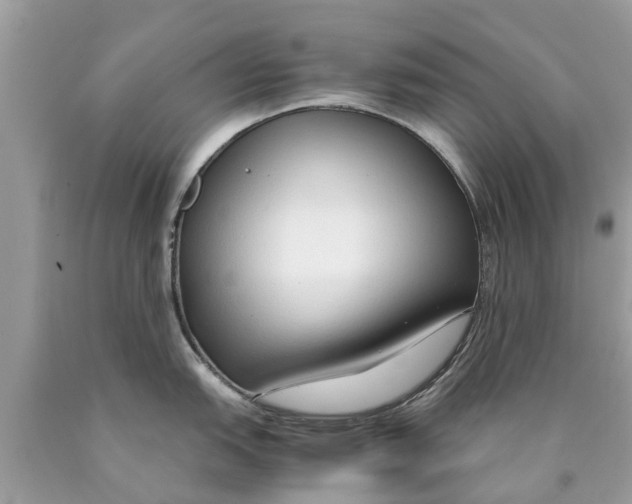 X0000089891151200707262224