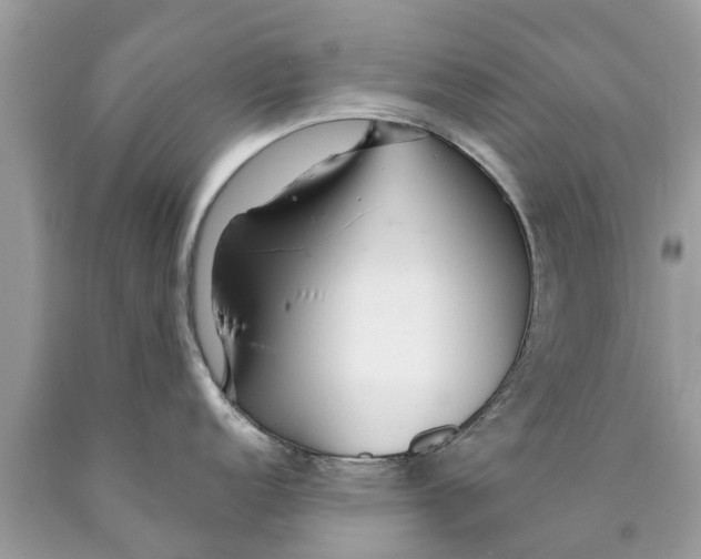 X0000089891152200707262224