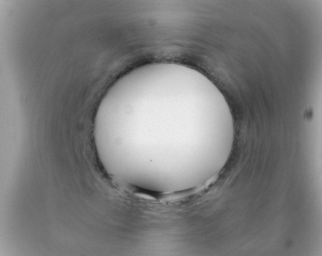 X0000089891153200707262224