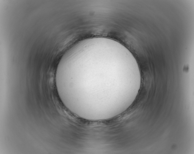 X0000089891154200707262224