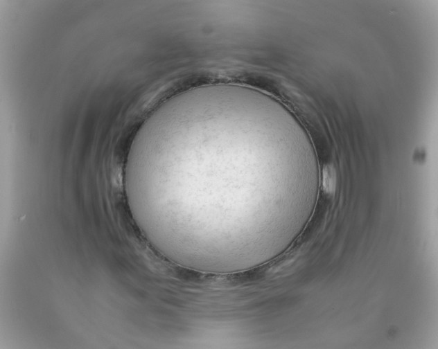 X0000089891155200707262224