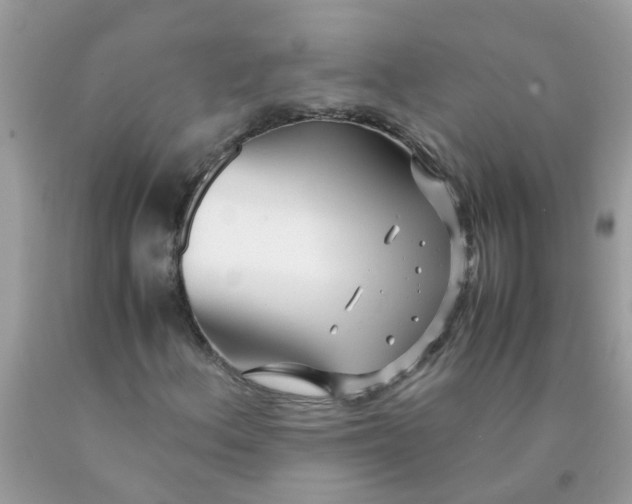 X0000089891156200707262224