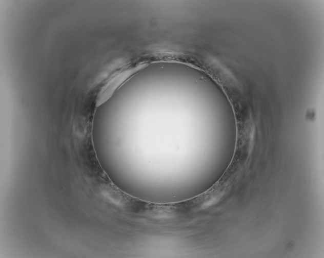 X0000089891157200707262224