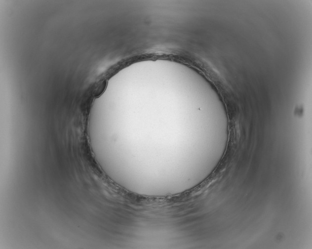 X0000089891158200707262224