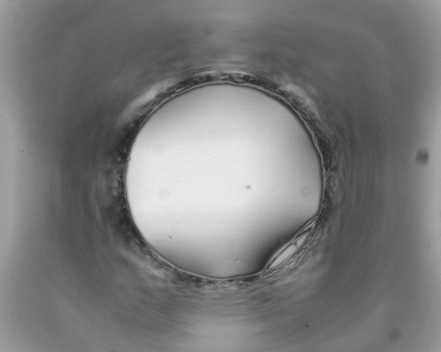 X0000089891159200707262224