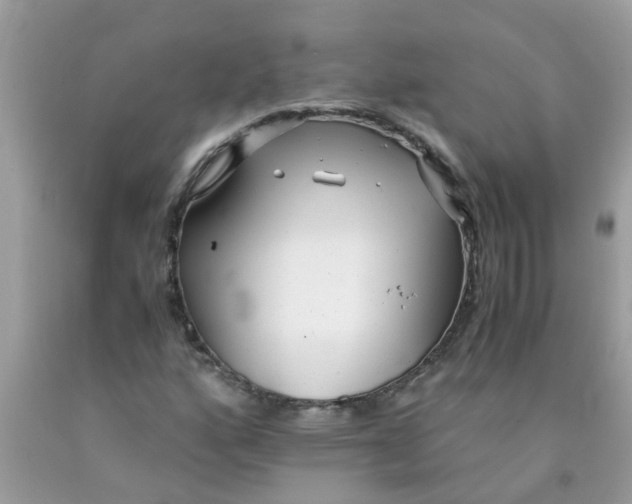 X0000089891160200707262224