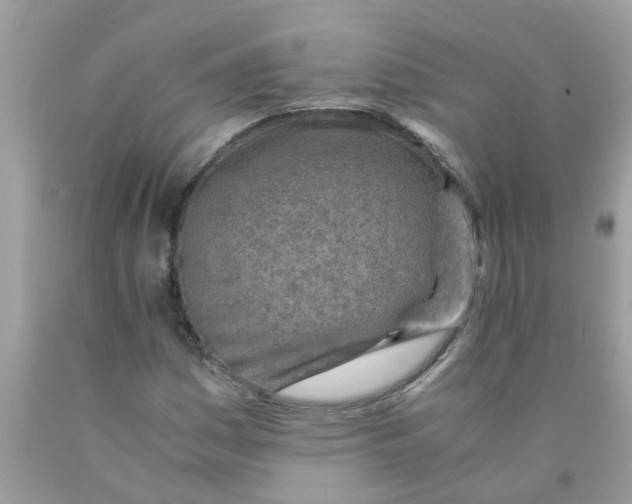 X0000089891161200707262224