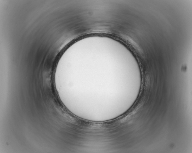 X0000089891162200707262224