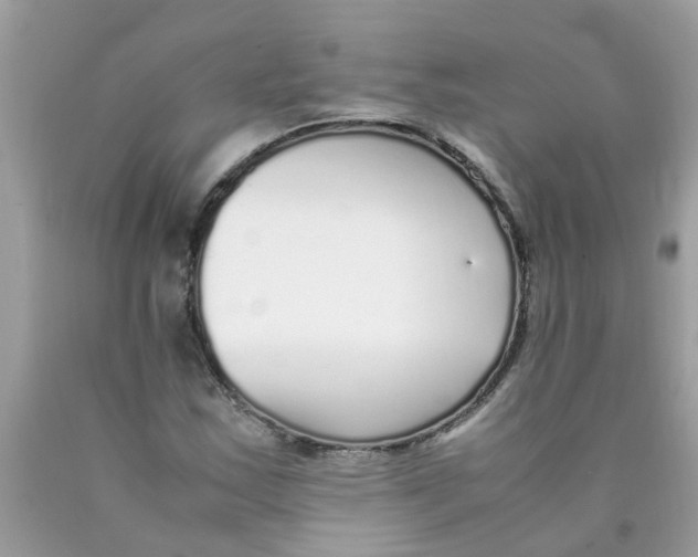 X0000089891163200707262224