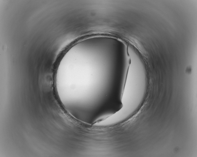 X0000089891164200707262224