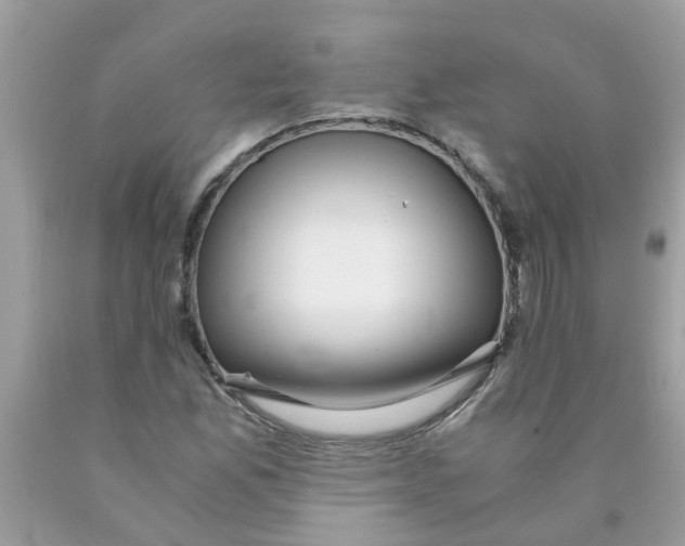 X0000089891165200707262224