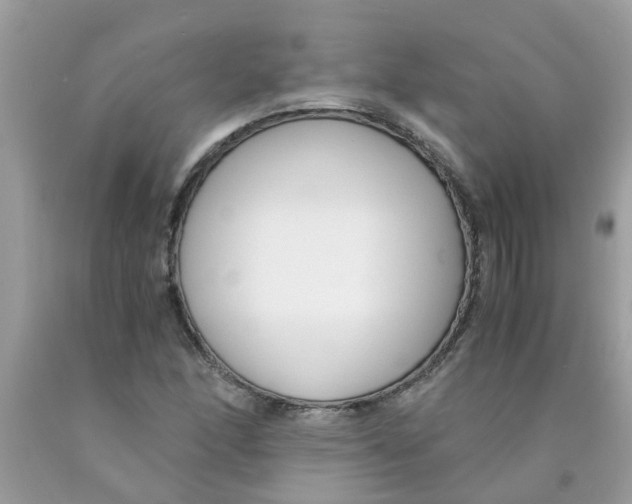 X0000089891166200707262224