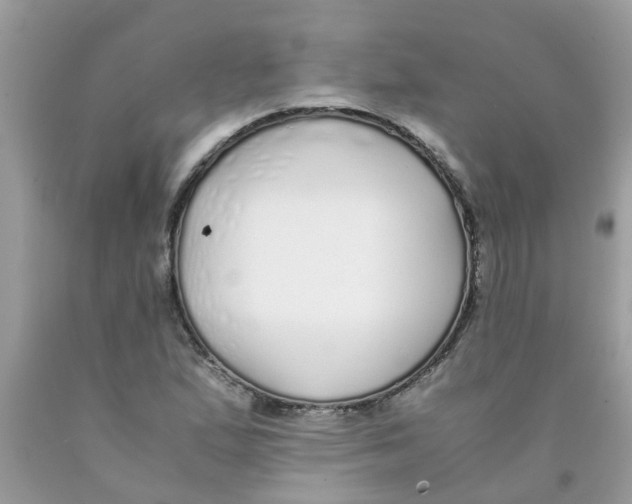 X0000089891167200707262223