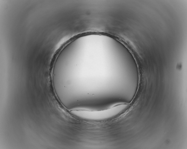 X0000089891168200707262223