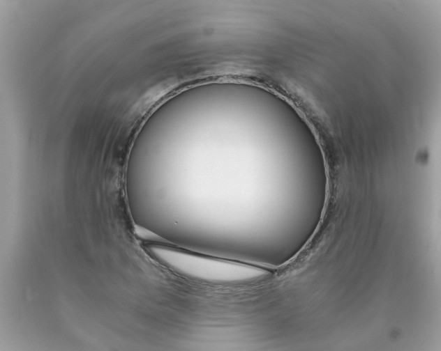 X0000089891169200707262223