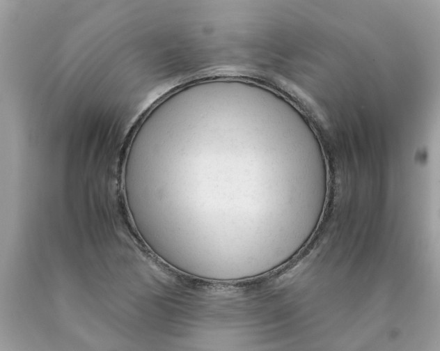 X0000089891170200707262223