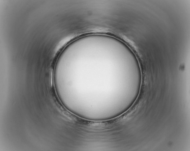 X0000089891171200707262223