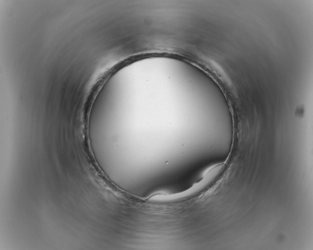 X0000089891172200707262223