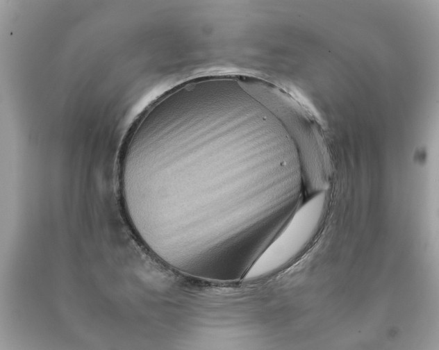 X0000089891173200707262223