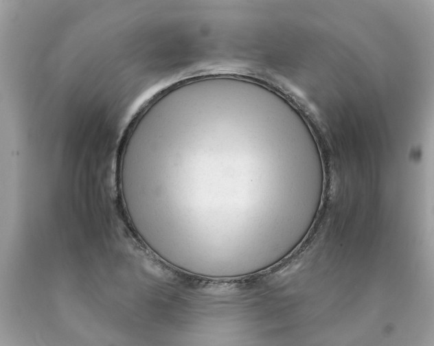 X0000089891174200707262223