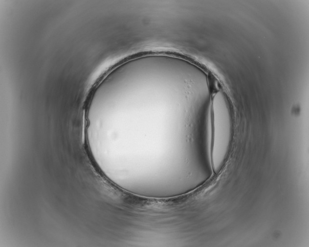 X0000089891175200707262223