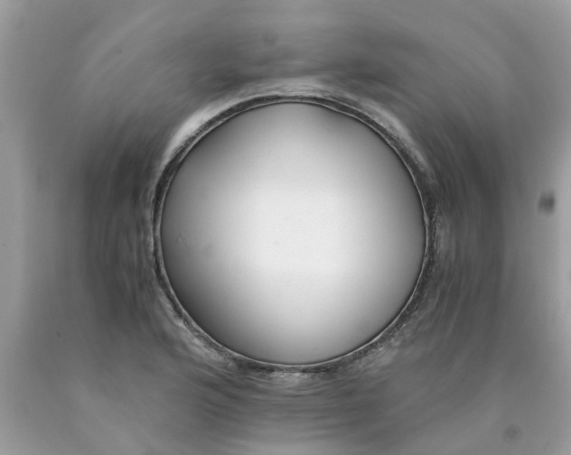 X0000089891176200707262223