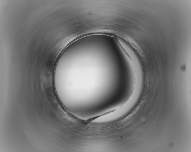 X0000089891177200707262223