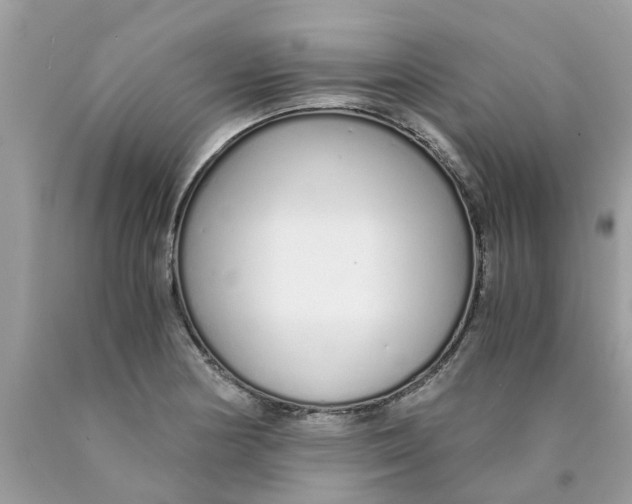 X0000089891178200707262223