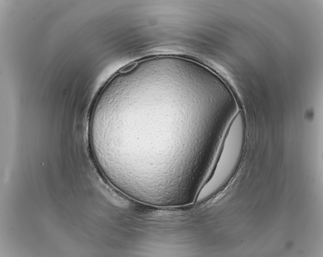 X0000089891179200707262223